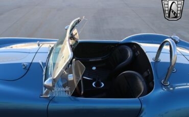 Ford-Cobra-1965-coupe-9