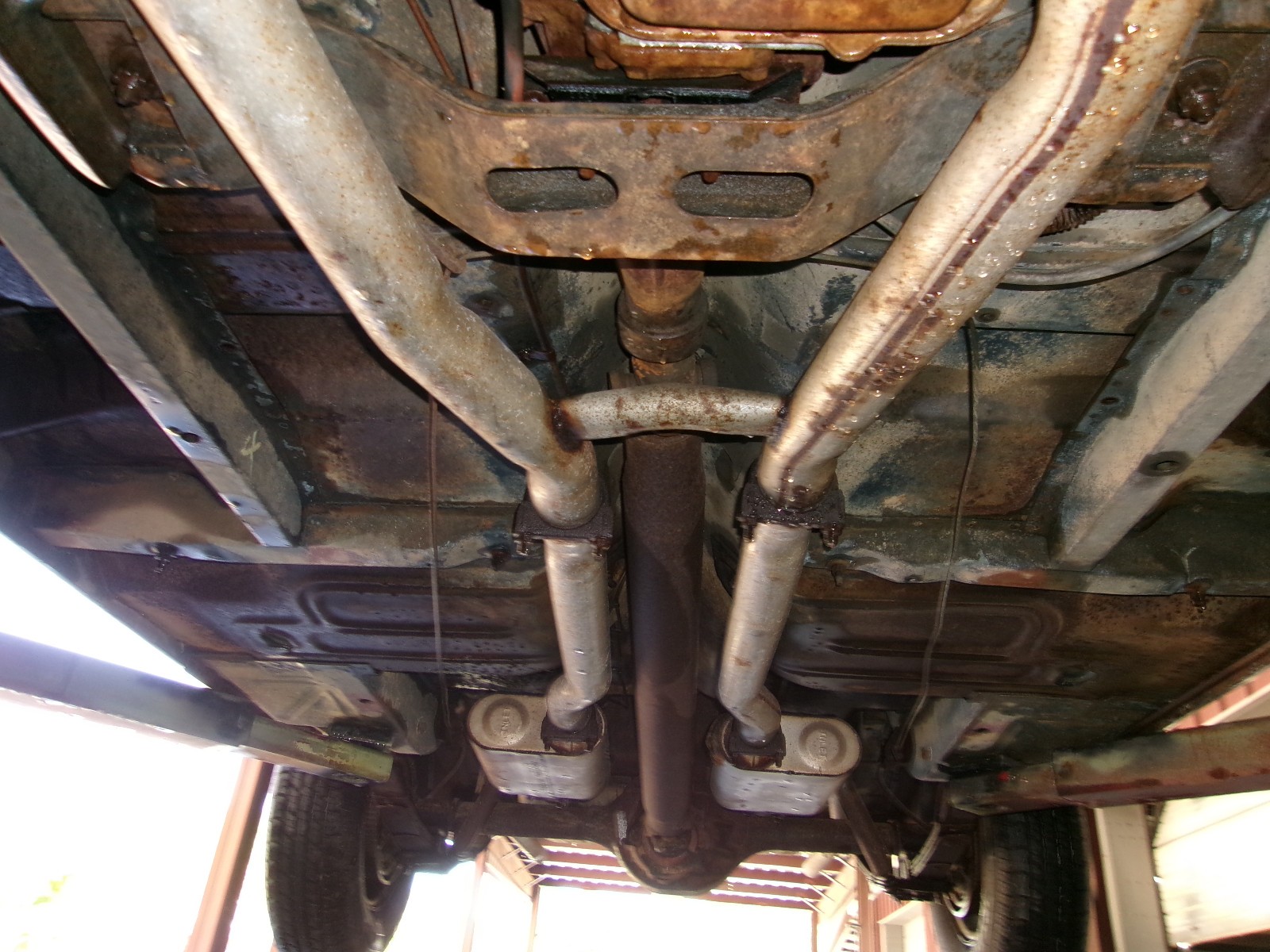 Ford-Cobra-1969-Fastback-36