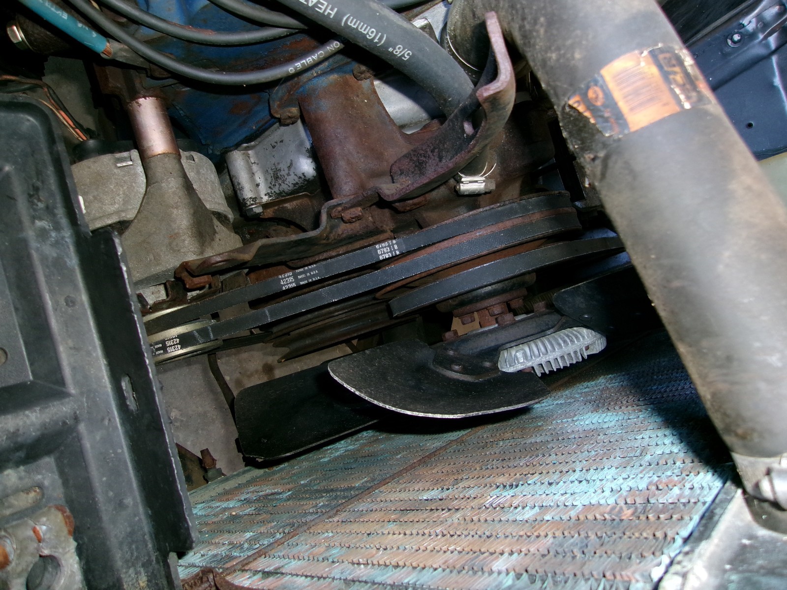 Ford-Cobra-1969-Fastback-6