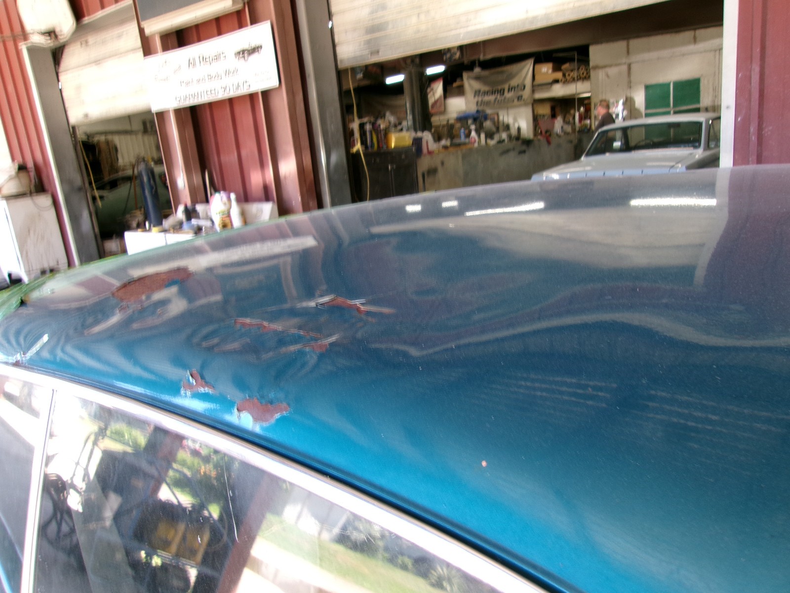 Ford-Cobra-1969-Fastback-9