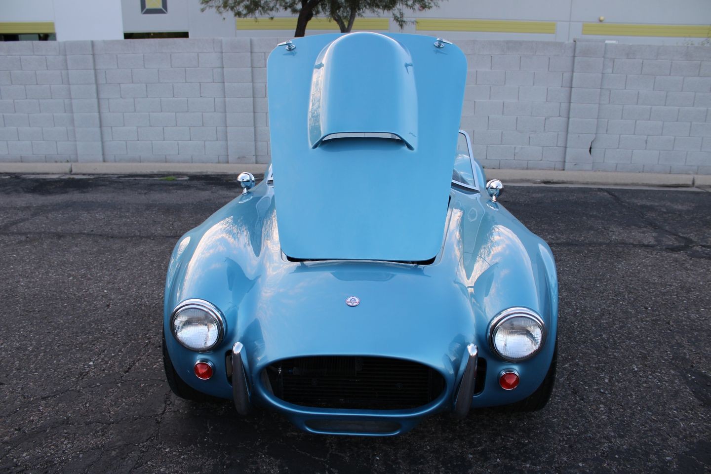 Ford-Cobra-Replica-1965-Convertible-15