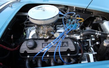 Ford-Cobra-Replica-1965-Convertible-19