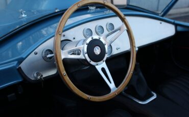 Ford-Cobra-Replica-1965-Convertible-30