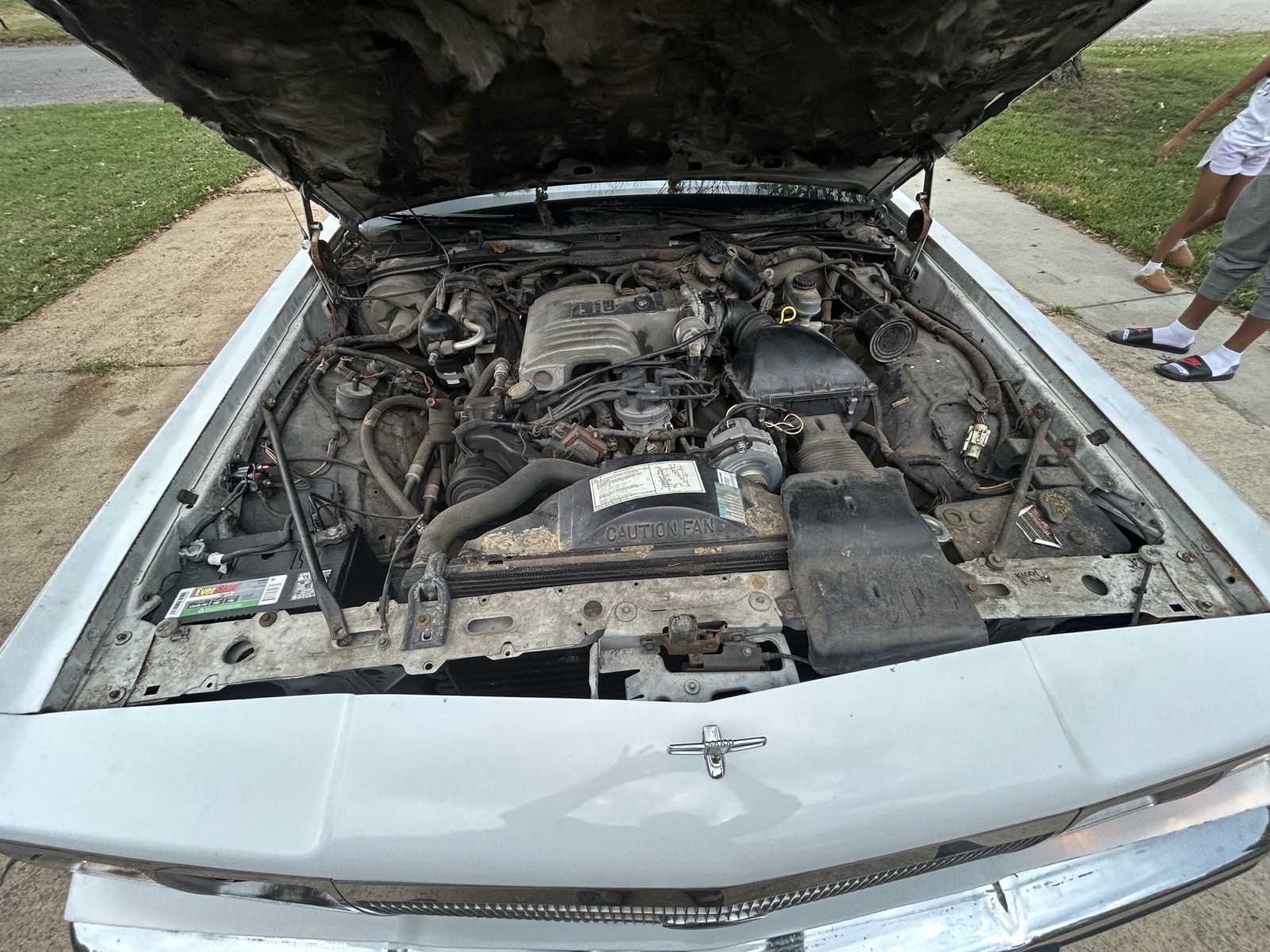 Ford-Country-Squire-1989-Wagon-11