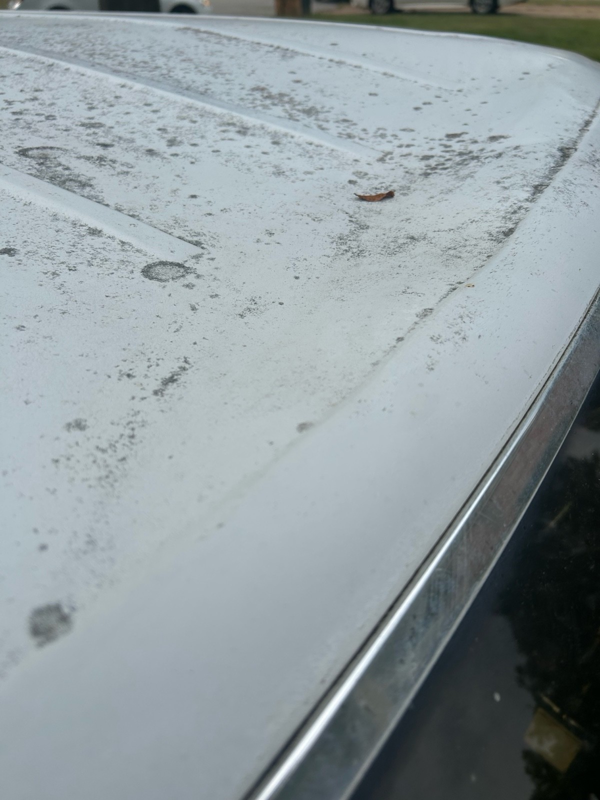 Ford-Country-Squire-1989-Wagon-4