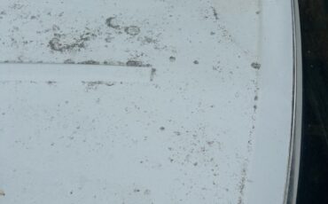 Ford-Country-Squire-1989-Wagon-8