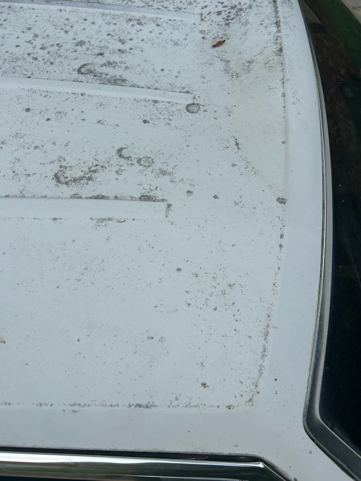 Ford-Country-Squire-1989-Wagon-8