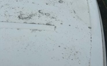 Ford-Country-Squire-1989-Wagon-9