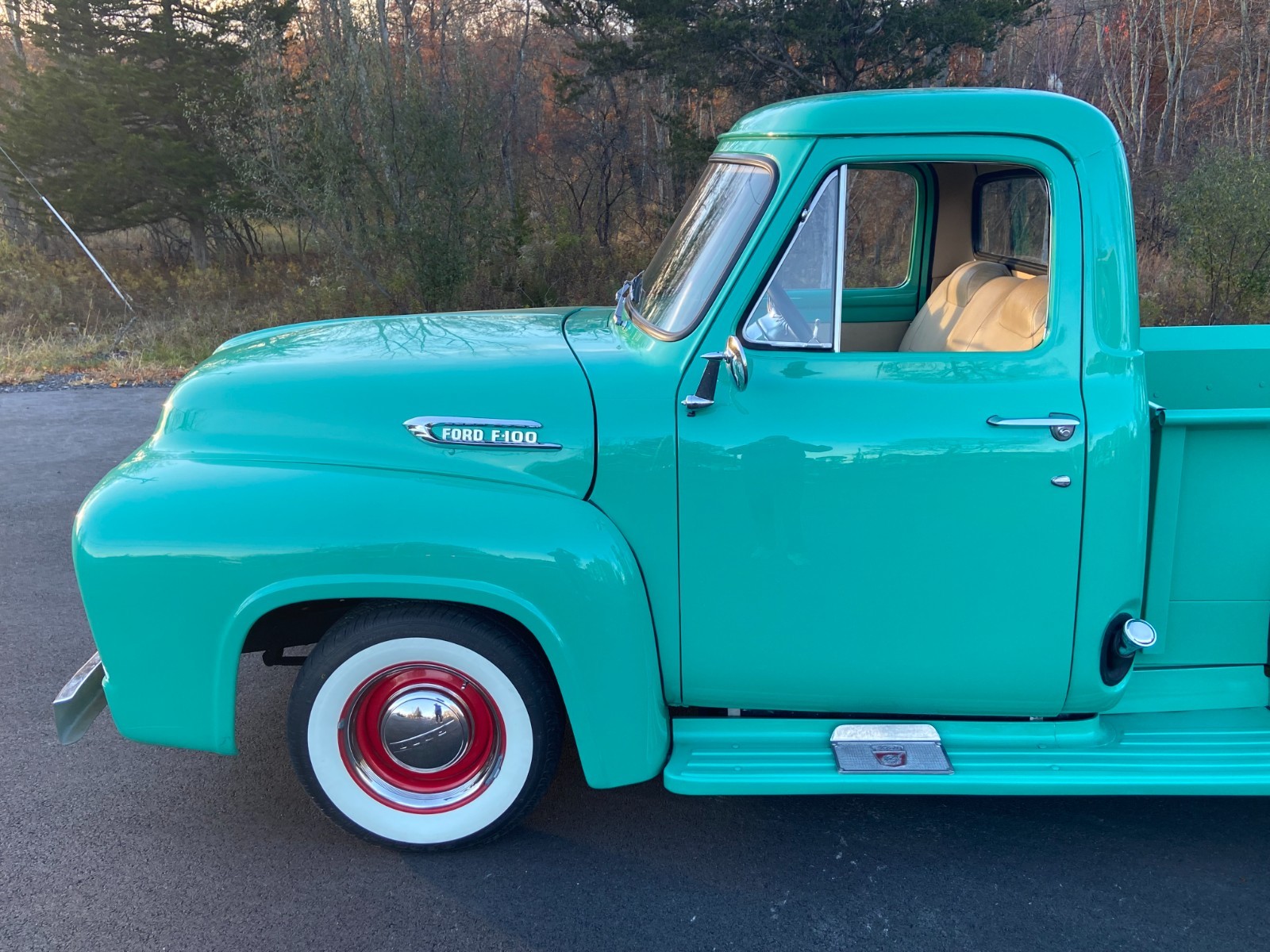 Ford-F-100-1954-Standard-Cab-Pickup-18