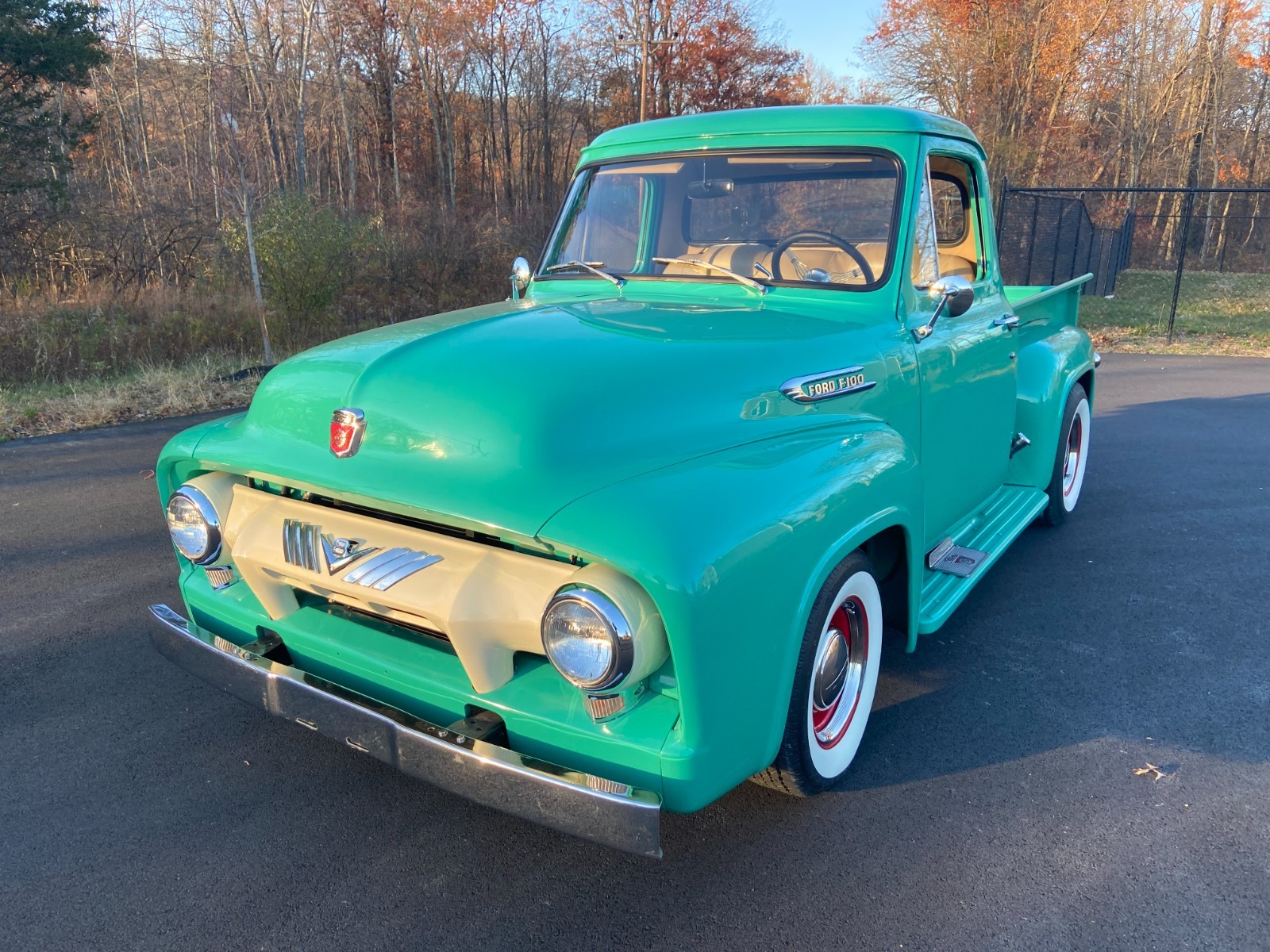 Ford-F-100-1954-Standard-Cab-Pickup-2
