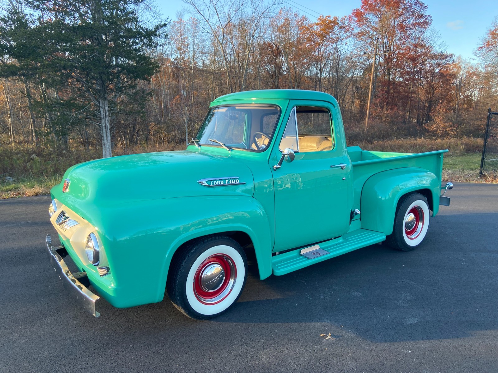 Ford-F-100-1954-Standard-Cab-Pickup-3