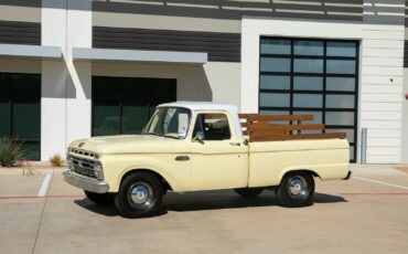Ford-F-100-1966-Other-3