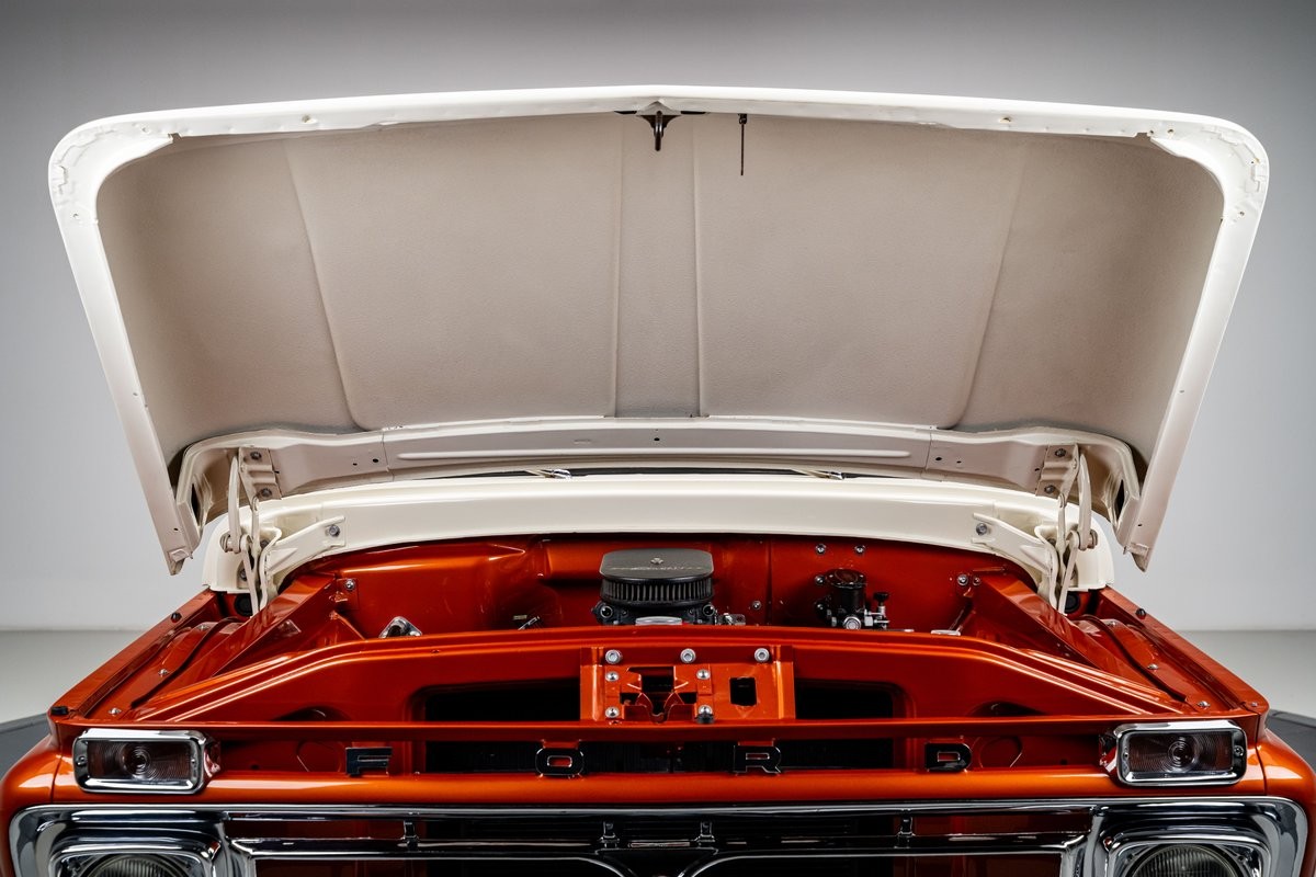 Ford-F-100-1966-Truck-31