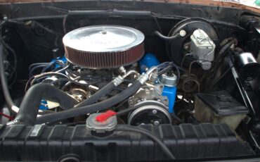 Ford-F-150-1978-Pickup-11