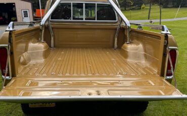 Ford-F-150-1979-Standard-Cab-Pickup-10