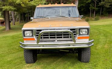Ford-F-150-1979-Standard-Cab-Pickup-2