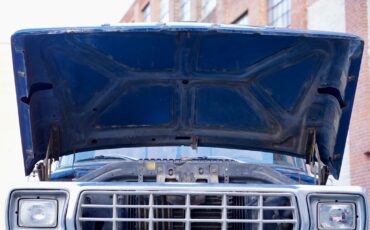 Ford-F-150-1979-Standard-Cab-Pickup-20