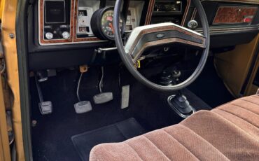 Ford-F-150-1979-Standard-Cab-Pickup-24
