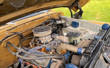 Ford-F-150-1979-Standard-Cab-Pickup-27