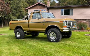 Ford-F-150-1979-Standard-Cab-Pickup-4