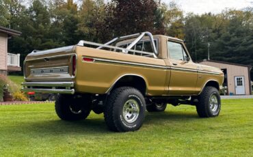 Ford-F-150-1979-Standard-Cab-Pickup-6