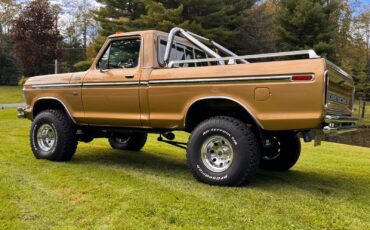 Ford-F-150-1979-Standard-Cab-Pickup-9