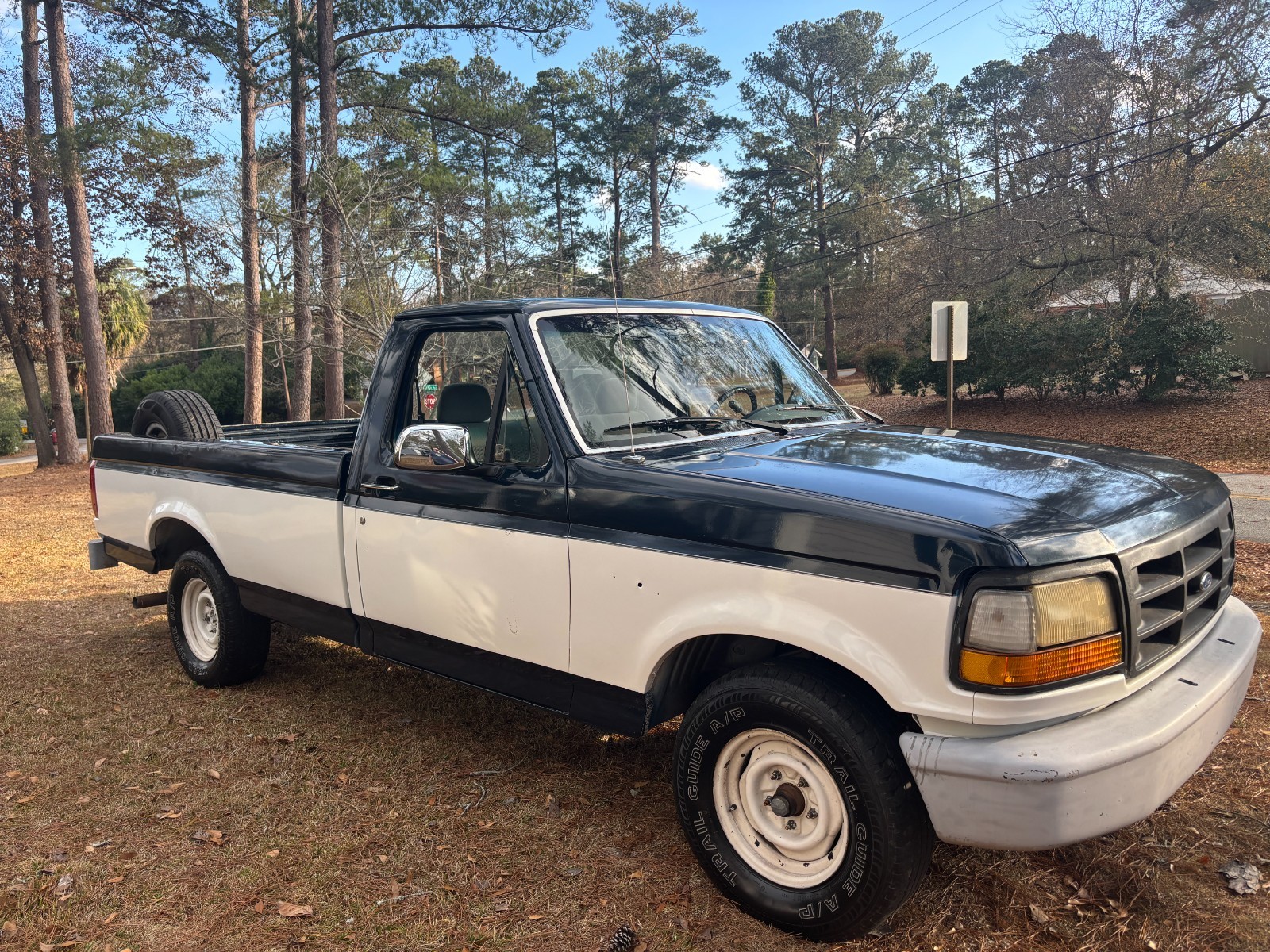 Ford F-150 1993 Standard Cab Pickup