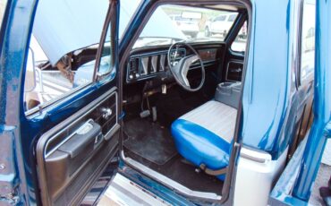 Ford-F-350-1979-Pickup-Truck-11