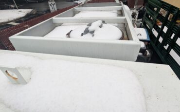 Ford-F-800-1996-Straight-Truck-Medium-Conventional