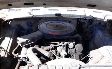 Ford-F100-1969-White-Blue-18