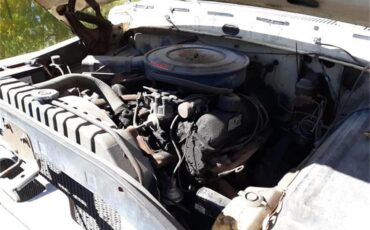 Ford-F100-1969-White-Blue-2