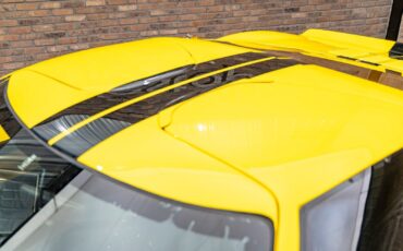 Ford-GT40-1965-Coupe-18