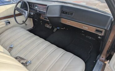 Ford-Ltd-1972-Gold-Cream-Beige-19
