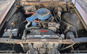 Ford-Ltd-1972-Gold-Cream-Beige-7