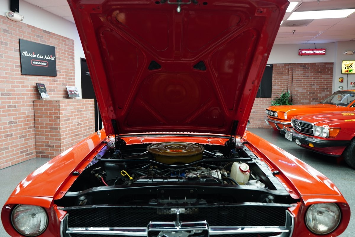 Ford-Mustang-1964-Coupe-16