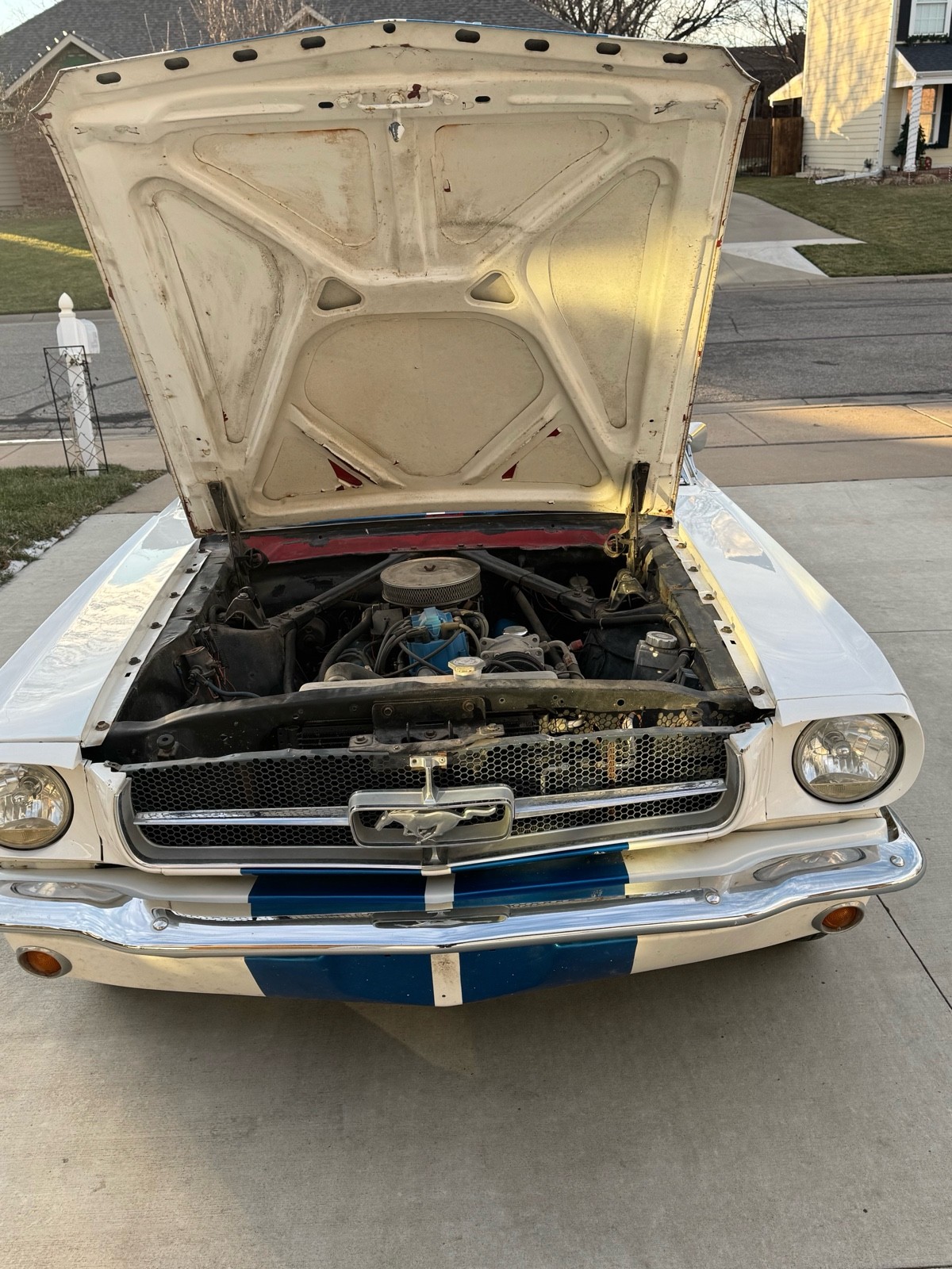 Ford-Mustang-1964-Coupe-16