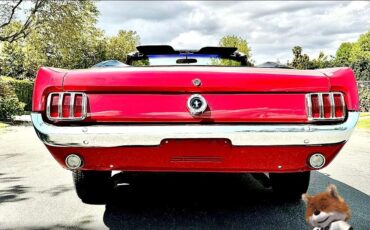 Ford-Mustang-1965-Convertible-7