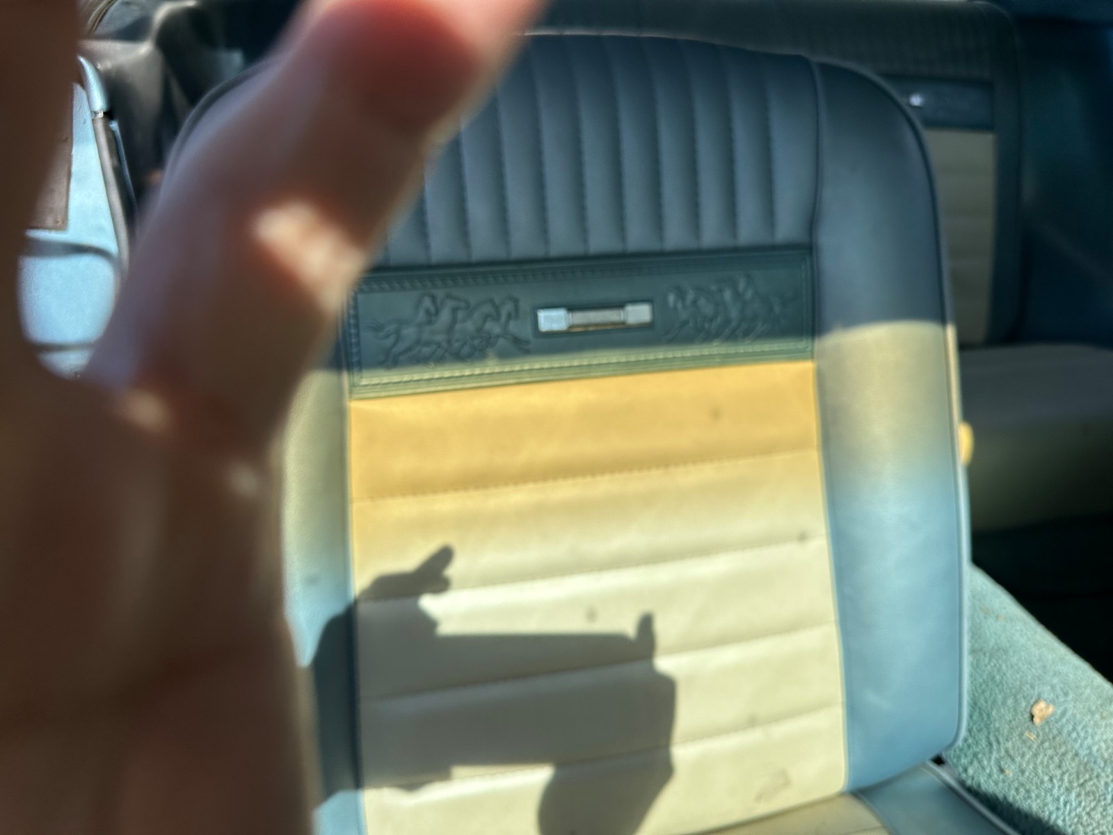 Ford-Mustang-1965-Coupe-2