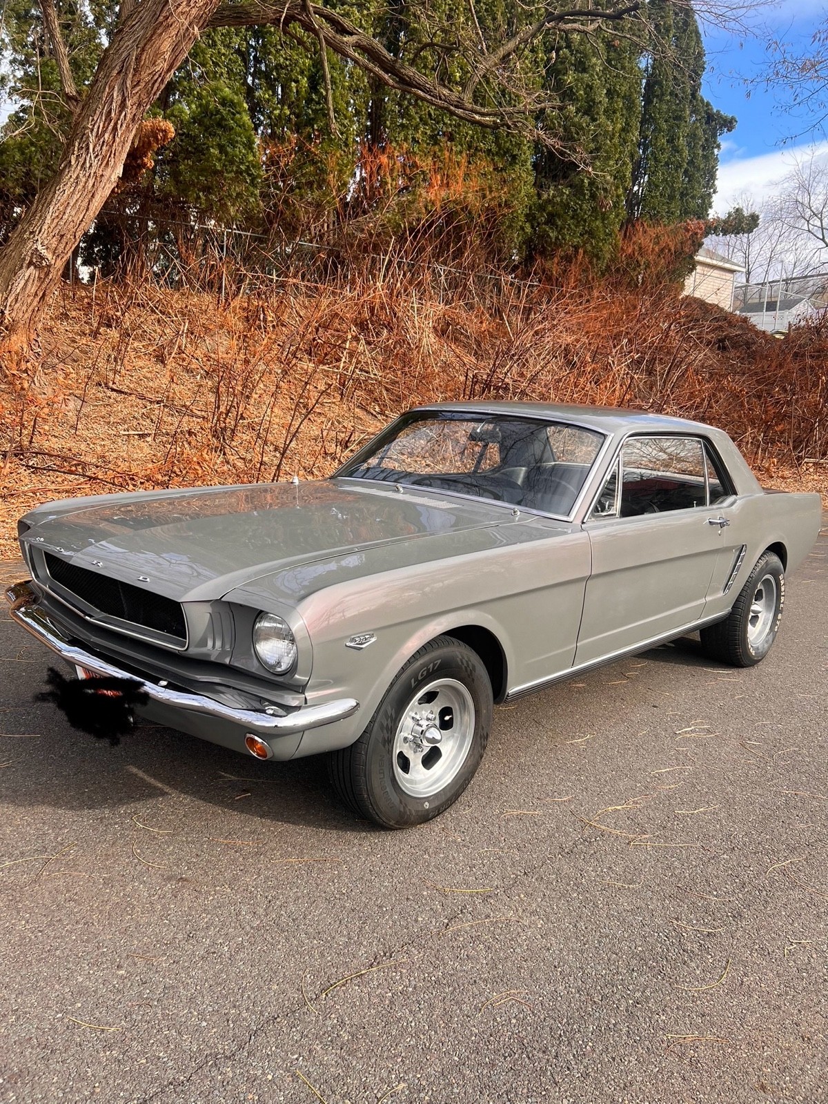 Ford Mustang 1965 Coupe