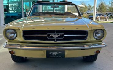 Ford-Mustang-1965-Hatchback-1
