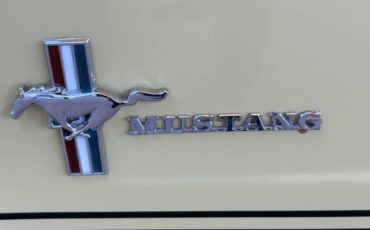 Ford-Mustang-1965-Hatchback-16