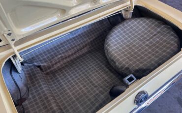 Ford-Mustang-1965-Hatchback-8