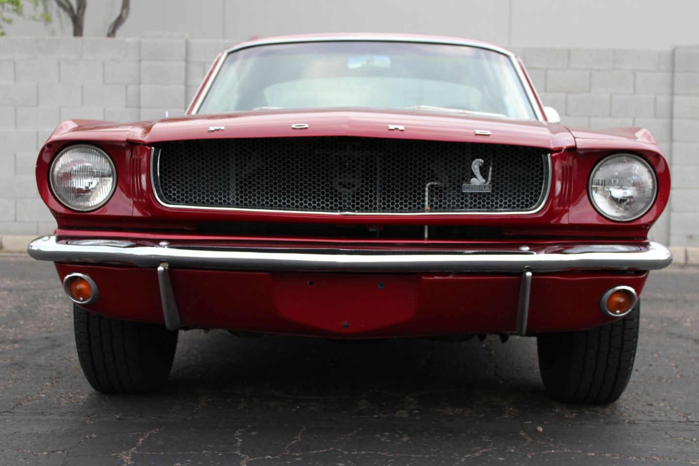Ford-Mustang-1965-Other-11