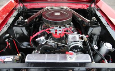 Ford-Mustang-1965-Other-14