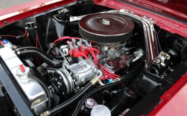 Ford-Mustang-1965-Other-15