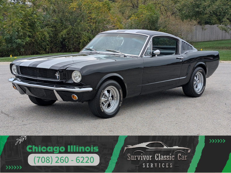 Ford Mustang 1965 Other