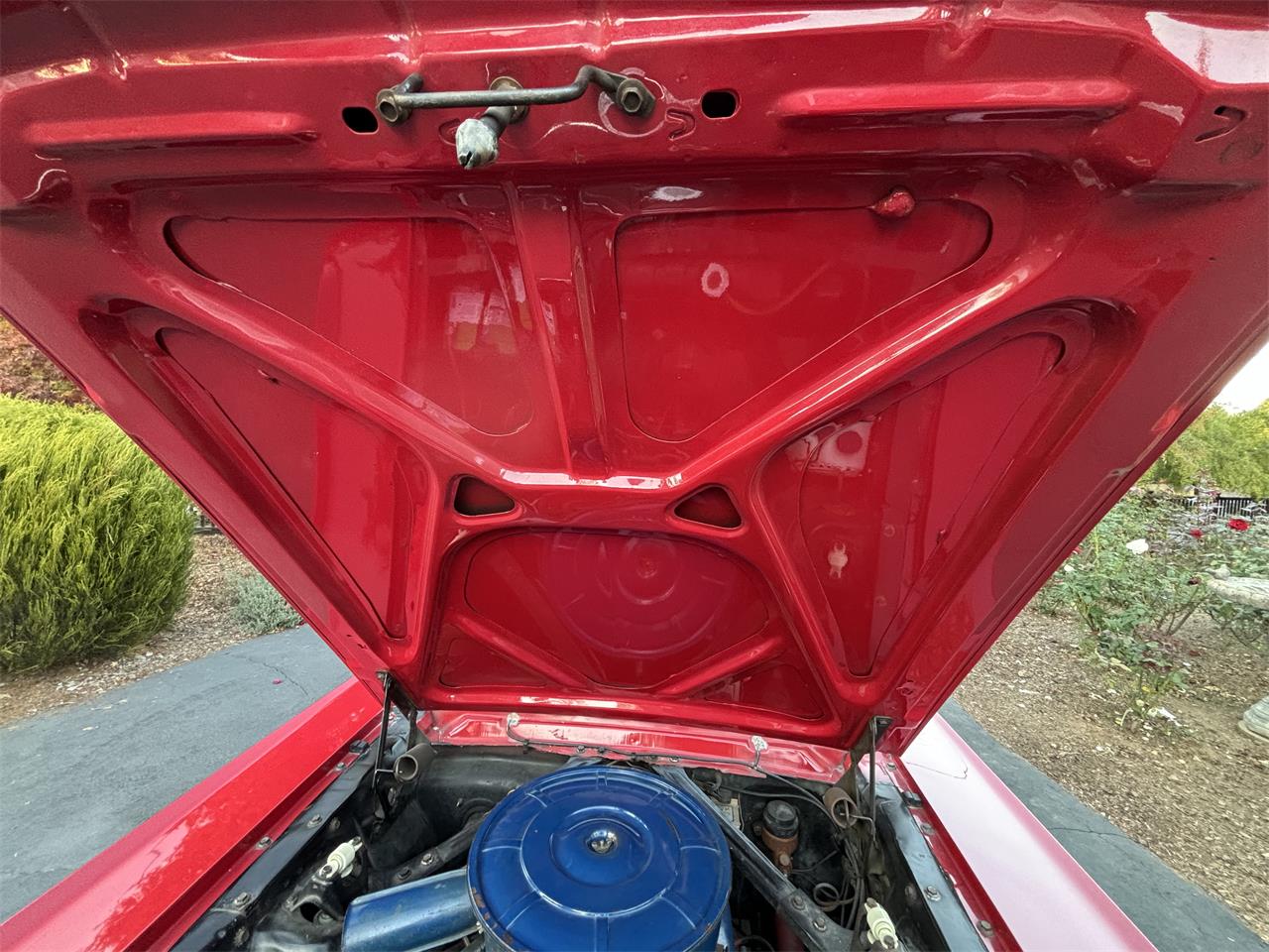 Ford-Mustang-1966-Candyapple-Red-T-Red-25A-1