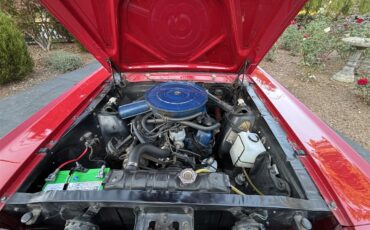 Ford-Mustang-1966-Candyapple-Red-T-Red-25A-15