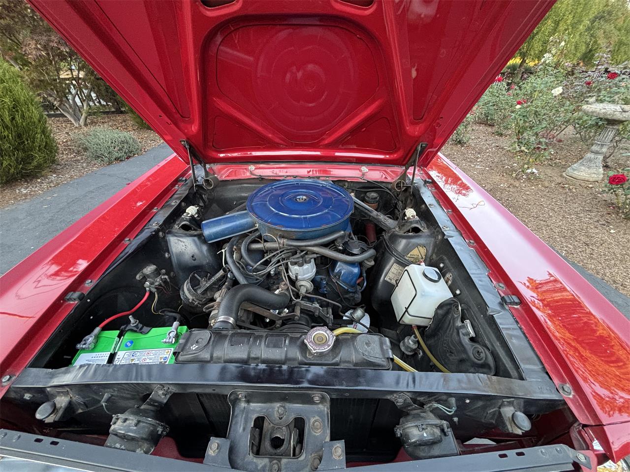 Ford-Mustang-1966-Candyapple-Red-T-Red-25A-15