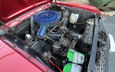 Ford-Mustang-1966-Candyapple-Red-T-Red-25A-16